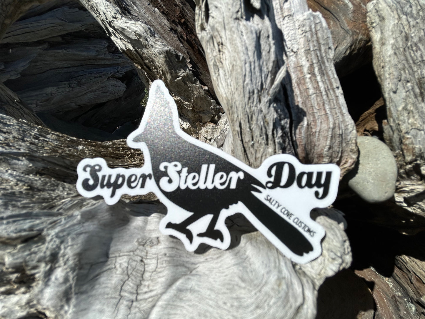 Super Steller Day Sticker
